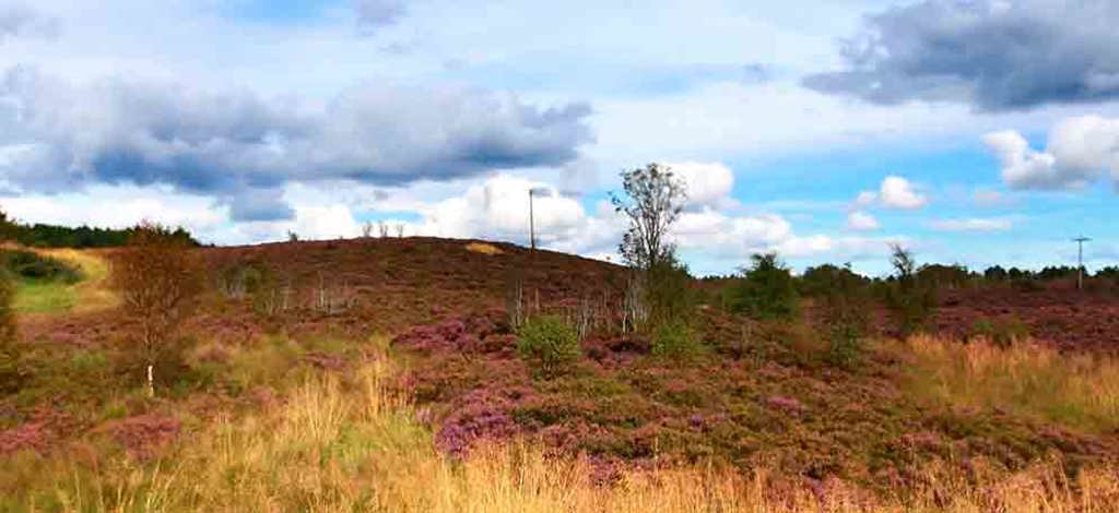 Holidays to North Lanarkshire